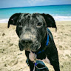 Meet your Posher, Tara